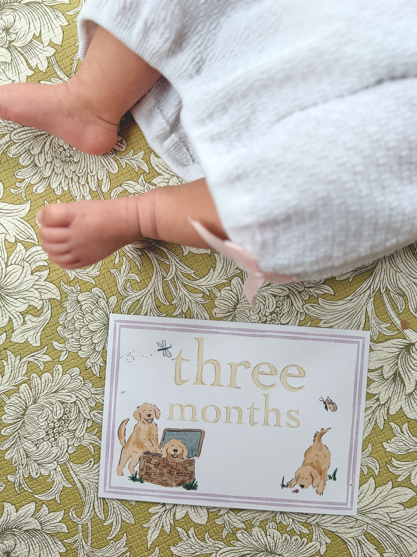 Whimsical Animal Milestone Cards