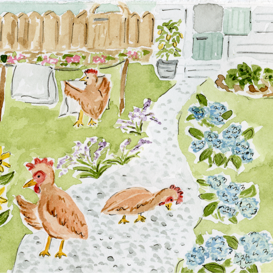 Illustration of chickens and flowers on a green background